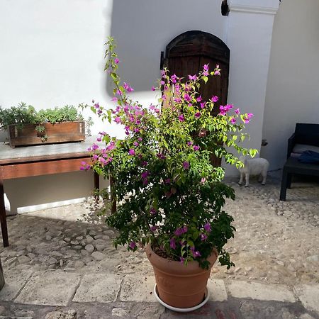 Piazzetta Del Forno Appartamento أسيرغي المظهر الخارجي الصورة