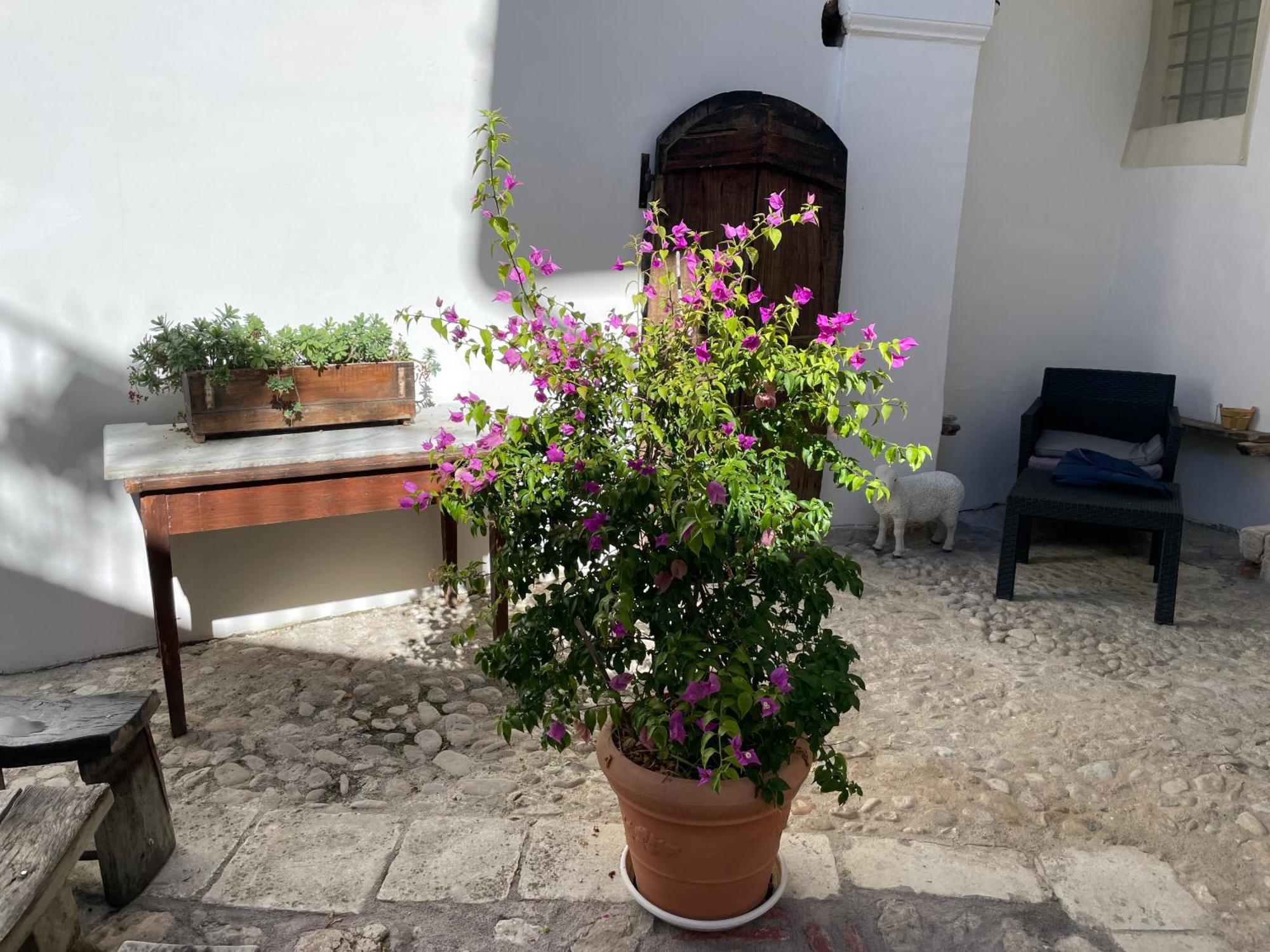Piazzetta Del Forno Appartamento أسيرغي المظهر الخارجي الصورة